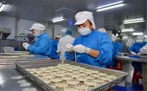 在小县城投入20万办厂 聚焦宠物食品，掘金蓝海市场的快车道