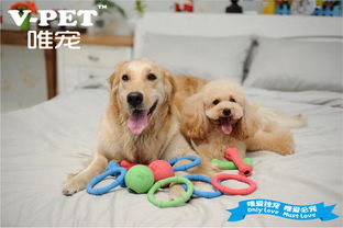 广州宠物食品进口操作流程与手续全解析